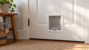 Best Dog Doors for Large Dogs in 2026: Compared and Ranked