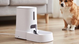Automatic Feeder vs Gravity Feeder: Which Is Right for Your Home (2026)
