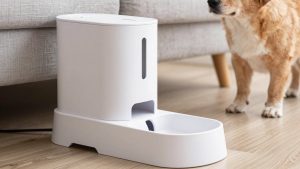 Automatic Feeder vs Timed Feeder: Which Is Right for Your Home (2026)