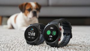 Best Amazfit Watches for Battery Life, Fitness, and Everyday Wear