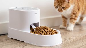 Best Automatic Feeder for Wet Cat Food in 2026: Compared and Ranked