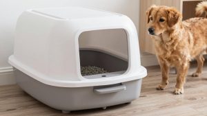 Best Automatic Litter Boxes in 2026: Compared and Ranked