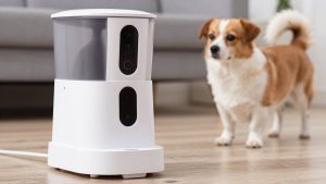 Best automatic pet feeder with camera in 2026