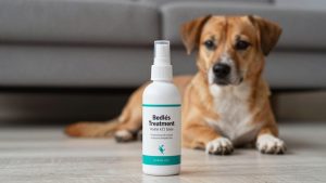 Best Bed Bug Sprays and Treatments for Home Use