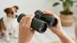 Best Binoculars for Bird Watching: Clear Views in the Field