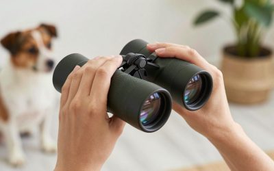 Best Binoculars for Bird Watching: Clear Views in the Field