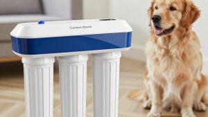 Best Carbon Block Water Filters for Cleaner-Tasting Water