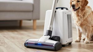 Best Central Vacuum Systems for Allergy Sufferers