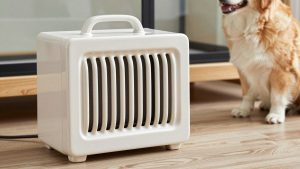 Best Ceramic Heat Emitters for Reptile Enclosures in 2026: Compared and Ranked