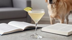 Best Cocktail Books for Beginners and Experts