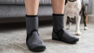 Best Dog Boots for Boston Terrier