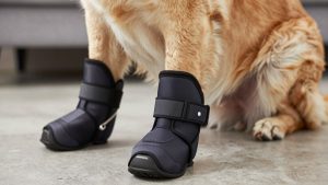 Best dog boots for newfoundland 2026