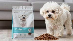 Best dog food for bichon frise 2026