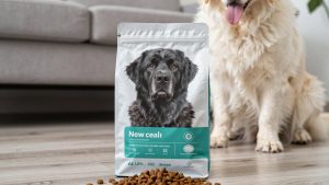 Best dog food for newfoundland 2026