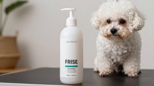 Best dog shampoo for bichon frise 2026