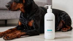 Best Dog Shampoo for Doberman Pinscher