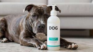 Best Dog Shampoo for Pit Bull
