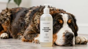 Best dog shampoo for saint bernard 2026