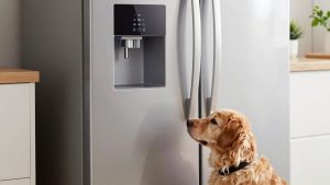 Best French Door Refrigerators Without a Water Dispenser