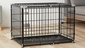 Best Heavy Duty Dog Crates in 2026: Compared and Ranked