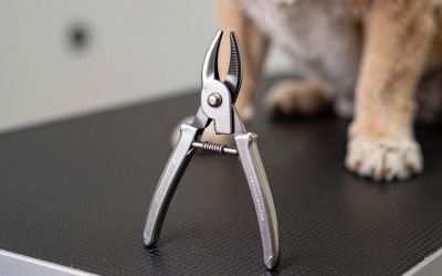 Best Hoof Trimmers in 2026: Compared and Ranked