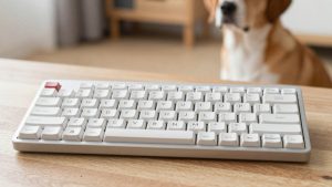 Best Hot-Swappable Keyboards for Customizable Typing