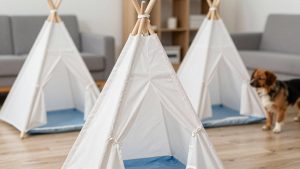 Best Kids Teepee Tents in 2026: Compared and Ranked