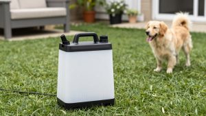 Best Lawn Sprayers for Every Yard Size