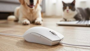 Best Lightweight Wireless Gaming Mice