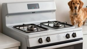 Best Liquid Propane Ranges in 2026: What to Know Before You Buy