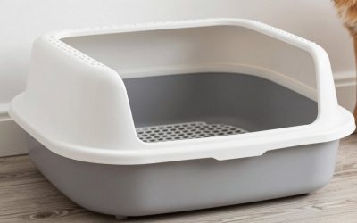 Best Litter Box to Keep Dogs Out (2026): 7 Dog-Proof Picks