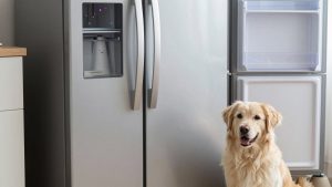 Best Long Lasting Refrigerators in 2026: How the Top Models Compare