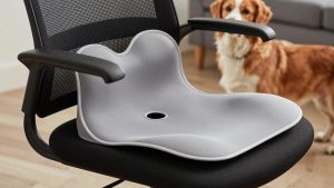 Best Lumbar Support Cushions for Office Chairs