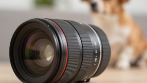 Best Macro Lenses for Close-Up Photography