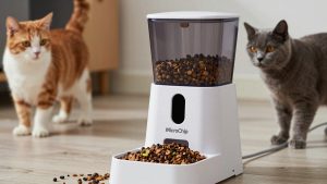 Best Microchip Activated Cat Feeders for Multi Cat Homes in 2026: Compared and Ranked