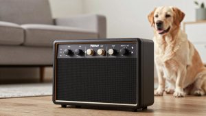 Best New Bass Machines in 2026: How the Top Models Compare
