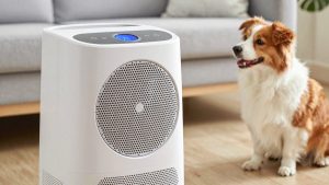 Best Odor Removal Machines in 2026: Top Picks Compared