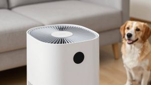 Best Pet Odor Eliminator Air Purifier