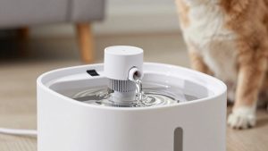 Best Pet Water Fountains 2026
