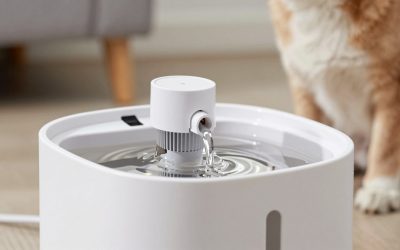 Best Pet Water Fountains 2026
