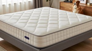 Best Queen Mattress Deals