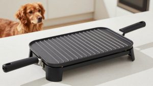 Best Raclette Grills for Easy Tabletop Melting