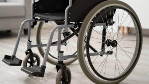 Best Rear Leg Wheelchairs for Disabled Dogs in 2026: Compared and Ranked