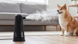 Best Reptile Foggers for Humidity Control in 2026: Compared and Ranked
