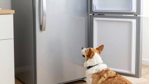 Best Service for Refrigerators in 2026: What to Know Before You Buy