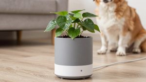 Best Smart Self-Watering Pots for Healthy Plants