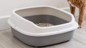 Best Top Entry Litter Box for Dogs in 2026: Compared and Ranked