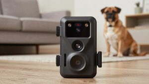 Best Trail Cameras for Deer Hunting