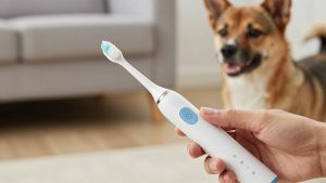 Best Travel Electric Toothbrushes in 2026: Compared and Ranked