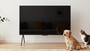 Best TVs for Bright Rooms